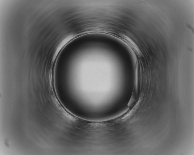 X0000097670812200802291459