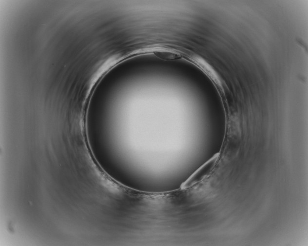 X0000097670813200802291459