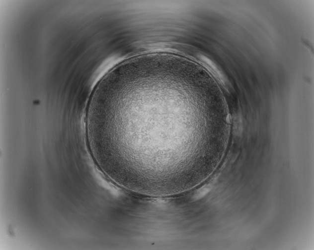 X0000097670814200802291459