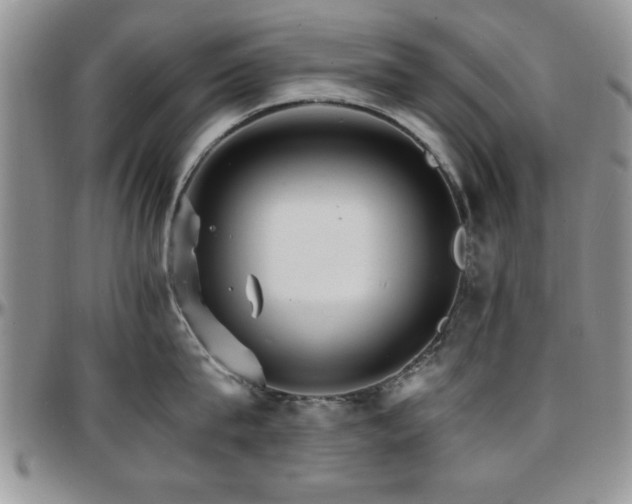 X0000097670815200802291459