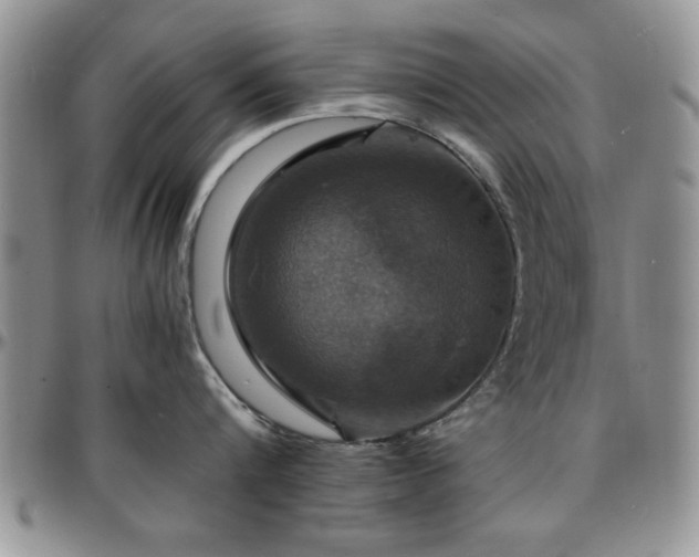 X0000097670816200802291459