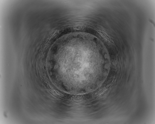 X0000097670817200802291458