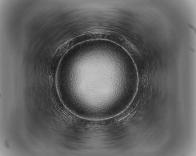 X0000097670821200802291458