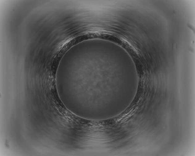 X0000097670822200802291458
