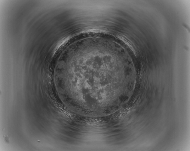 X0000097670823200802291458
