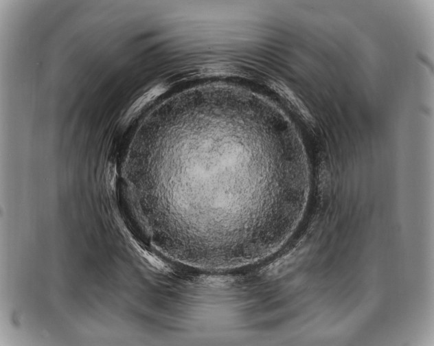 X0000097670825200802291458