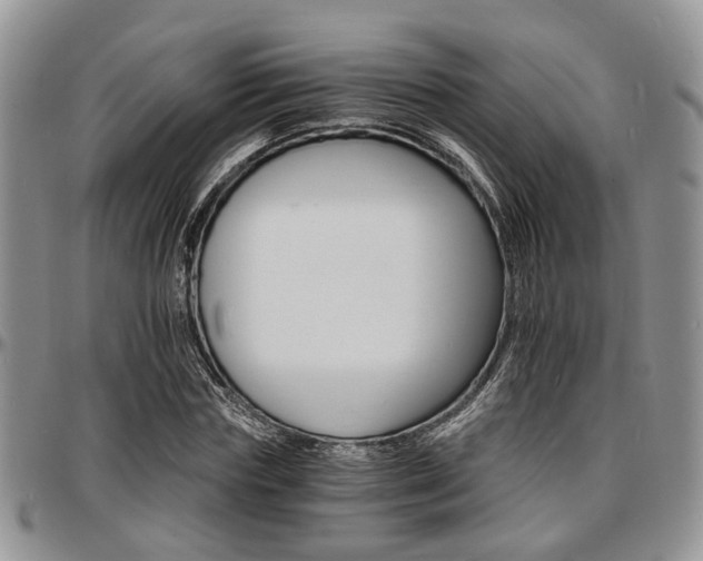X0000097670827200802291458
