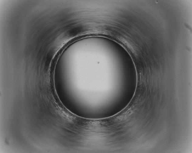 X0000097670828200802291458