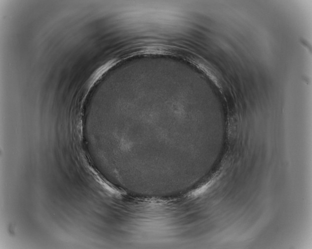 X0000097670829200802291458