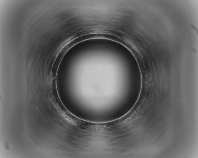 X0000097670831200802291458