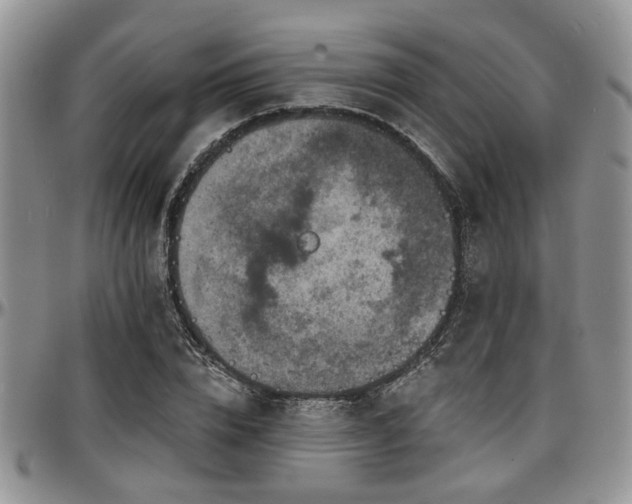 X0000097670832200802291458