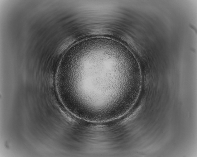 X0000097670833200802291458