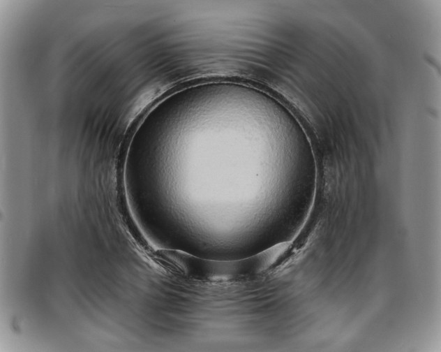 X0000097670834200802291458