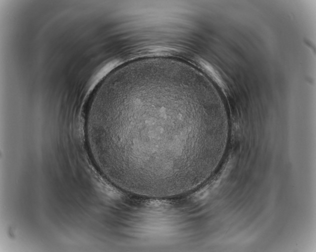 X0000097670835200802291458