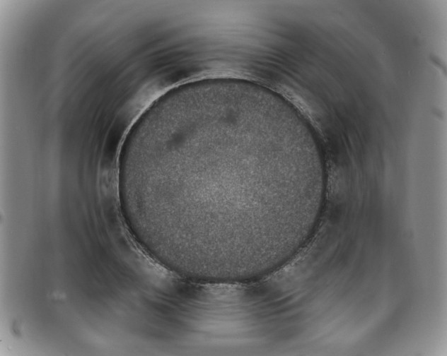 X0000097670836200802291458