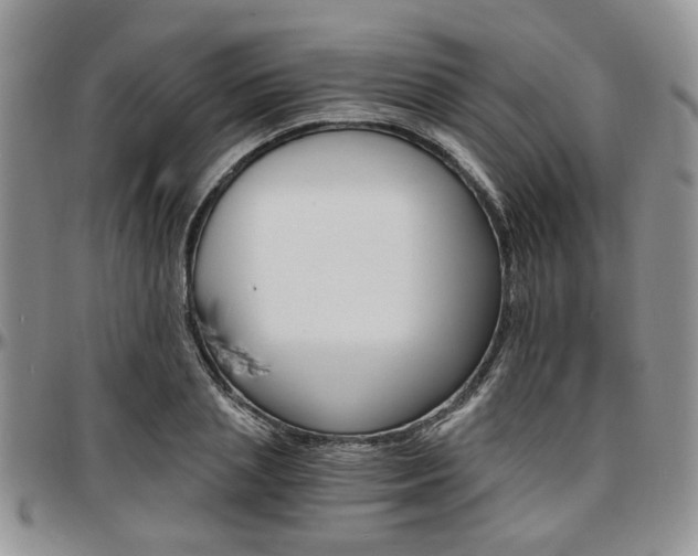 X0000097670837200802291458