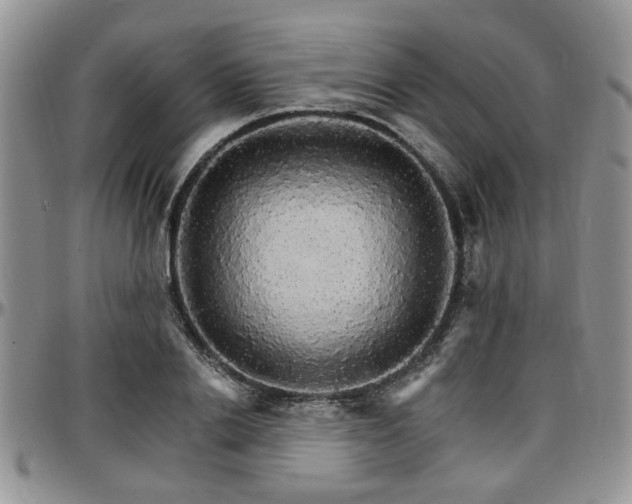 X0000097670838200802291458