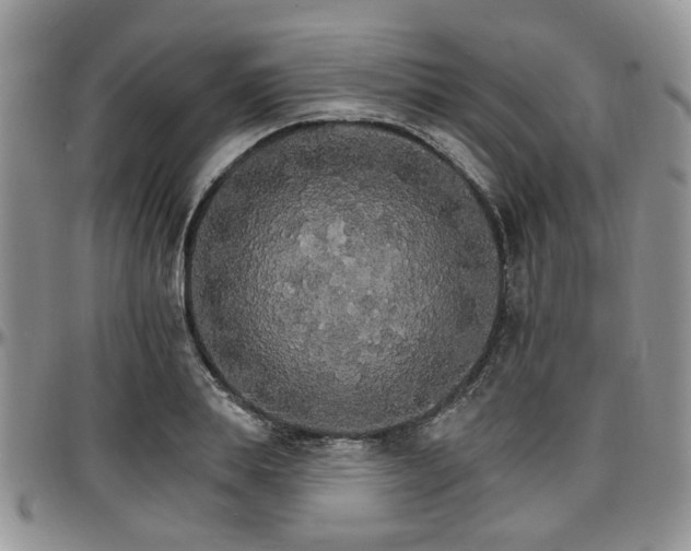 X0000097670839200802291458