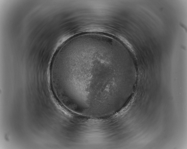 X0000097670840200802291458