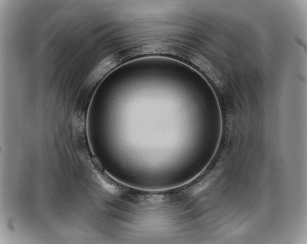 X0000097670841200802291458