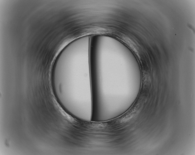 X0000097670843200802291458