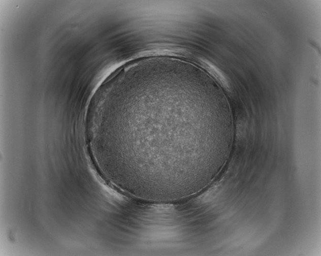 X0000097670844200802291458