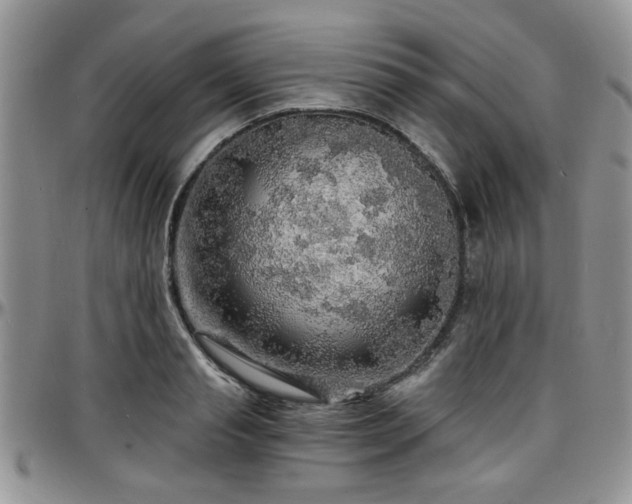 X0000097670845200802291458