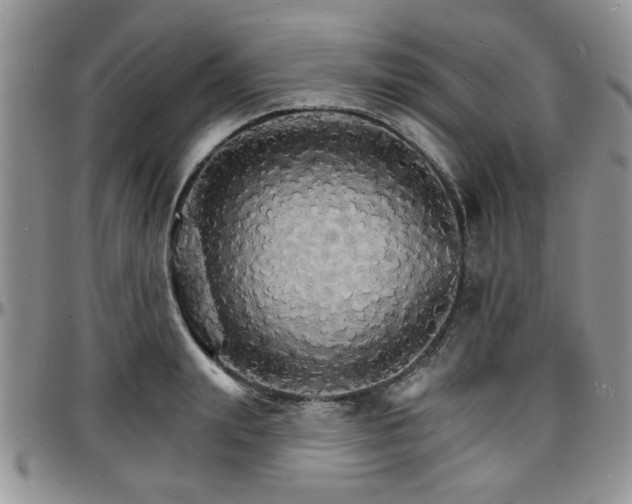 X0000097670847200802291458