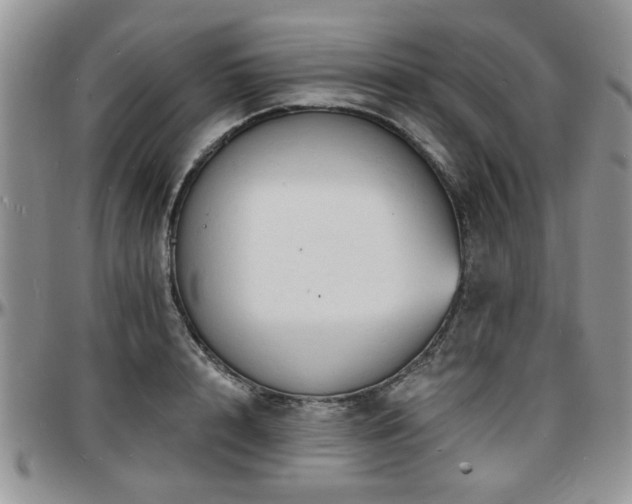 X0000097670848200802291458