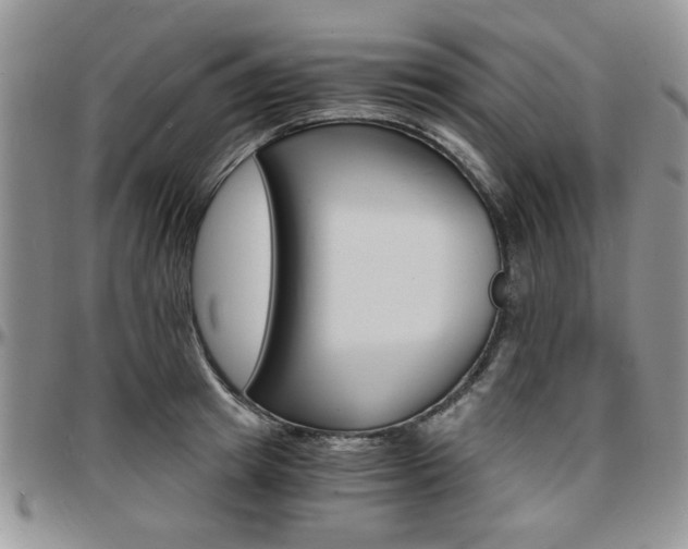 X0000097670849200802291458