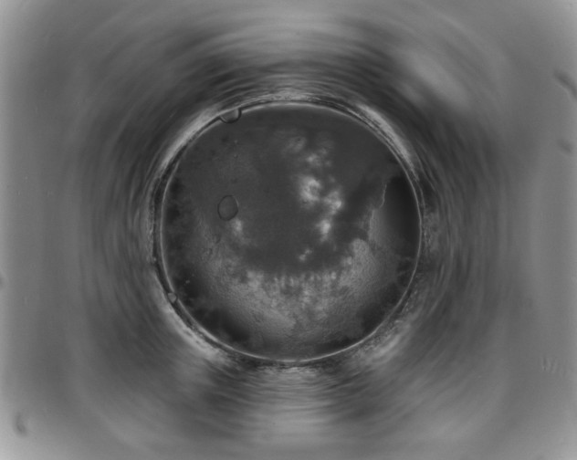 X0000097670851200802291459