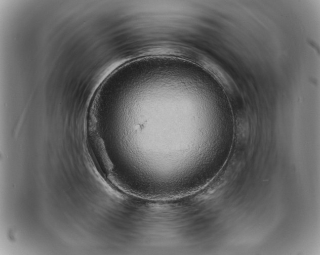 X0000097670852200802291459