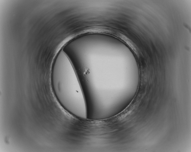 X0000097670853200802291459