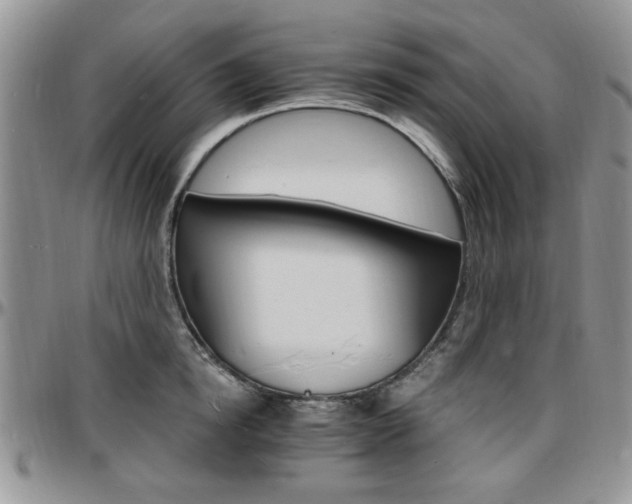 X0000097670854200802291459