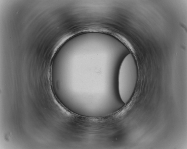 X0000097670855200802291459