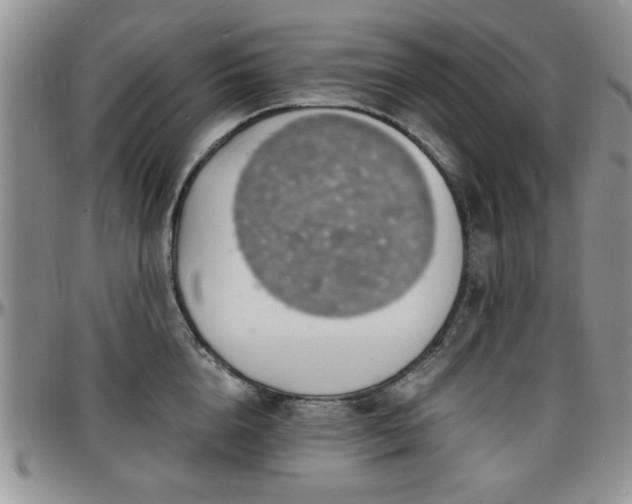 X0000097670856200802291459