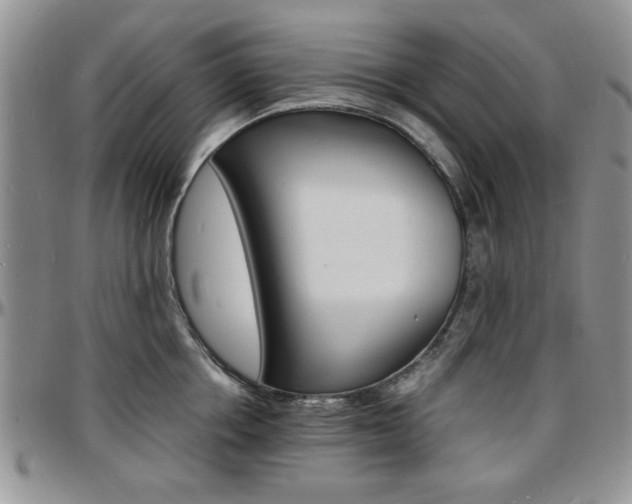 X0000097670858200802291459