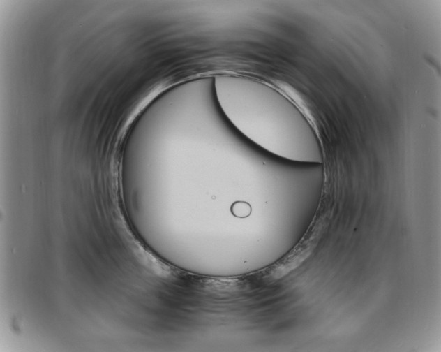 X0000097670859200802291459