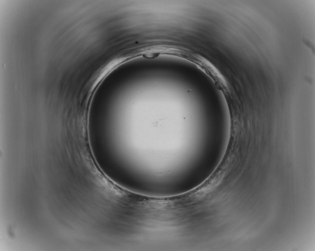 X0000097670860200802291459