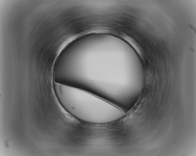 X0000097670861200802291459