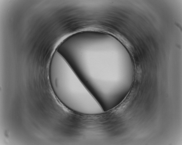 X0000097670862200802291459