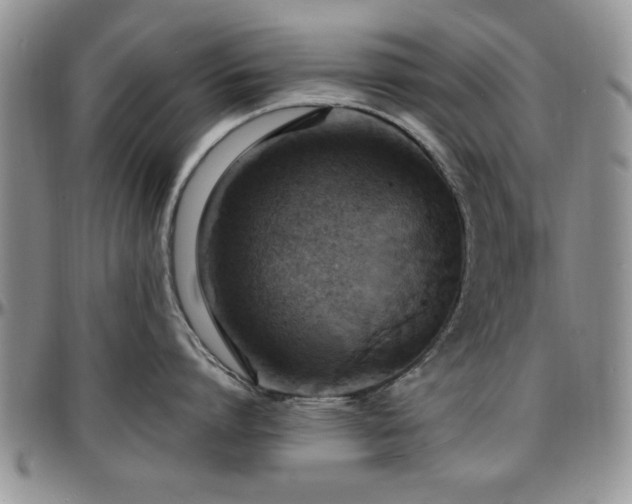 X0000097670864200802291459