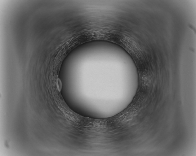 X0000097670865200802291458