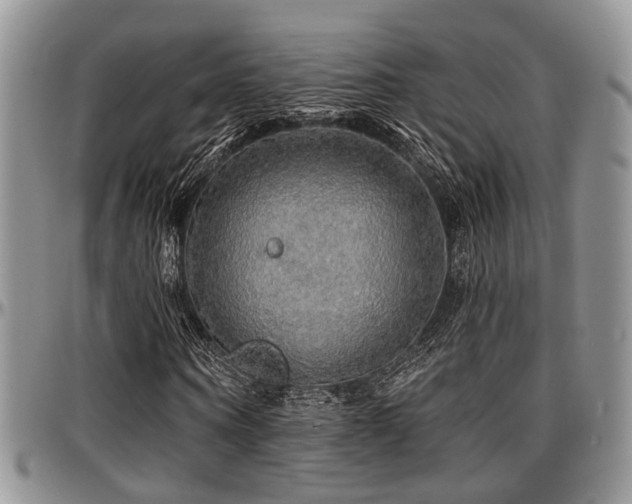 X0000097670866200802291458