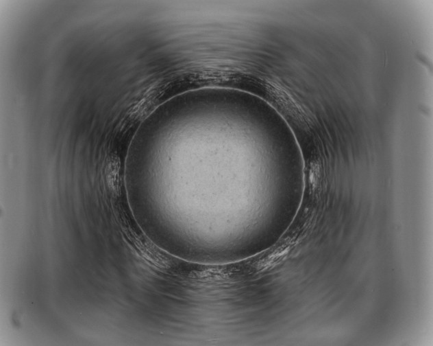 X0000097670867200802291458