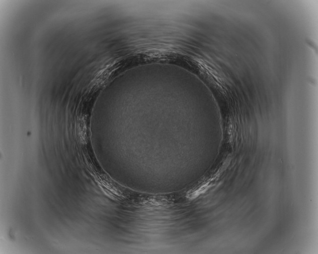 X0000097670868200802291458