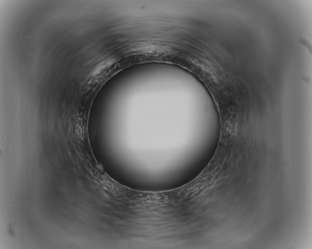 X0000097670869200802291458