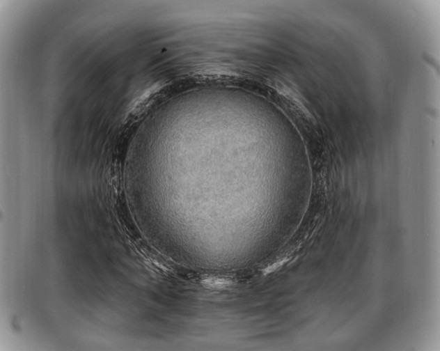 X0000097670870200802291458