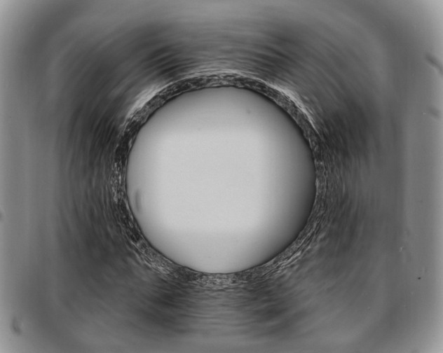 X0000097670871200802291458