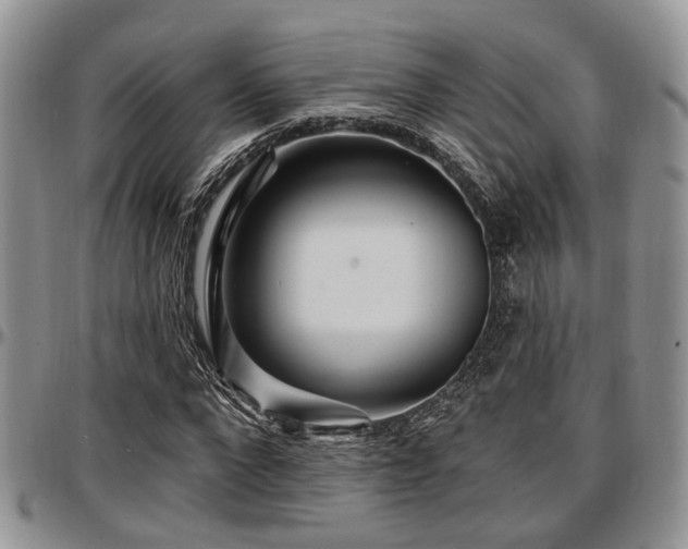 X0000097670872200802291458